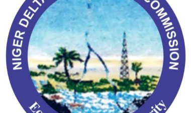 NDDC: A Stagnant Narrative in a Region Craving Progress