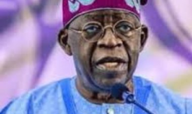 Ijaw, N'Delta leaders call on Tinubu to sack FCT Minister Wike, Seek peace in Rivers State 