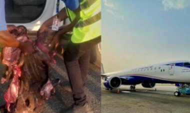 Air Peace Grounds Aircraft After Running Into Antelope in Abuja Runway 