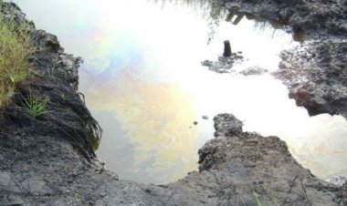 Crude Oil Spill Wreaks Havoc on Oshika Community In Rivers State