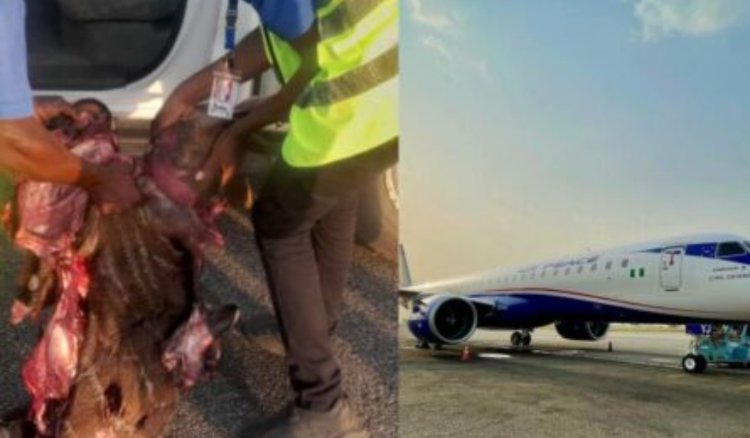Air Peace Grounds Aircraft After Running Into Antelope in Abuja Runway 
