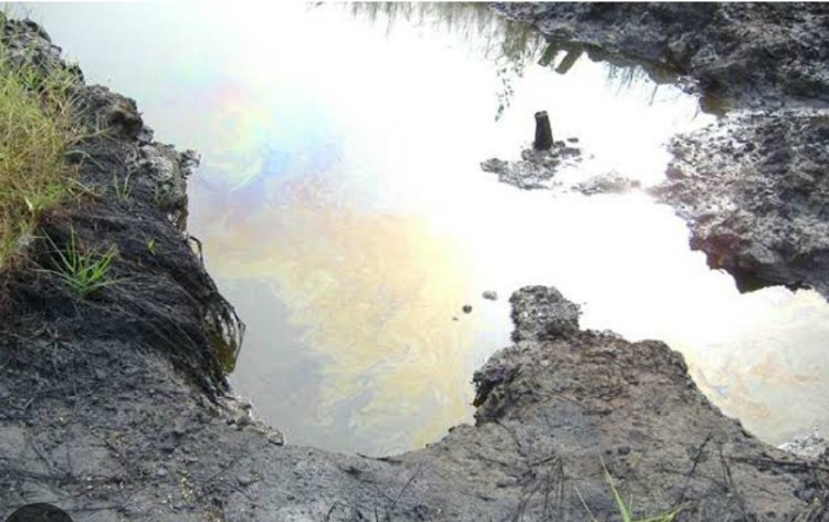 Crude Oil Spill Wreaks Havoc on Oshika Community In Rivers State