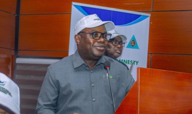 Itsekiri attack on Dr Otuaro baseless, misguided -IPDI