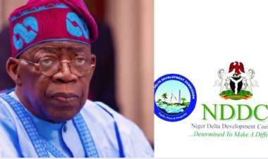 Financial Recklessness: IPF Demands Urgent NDDC Probe, Ogbuku, Others to Account