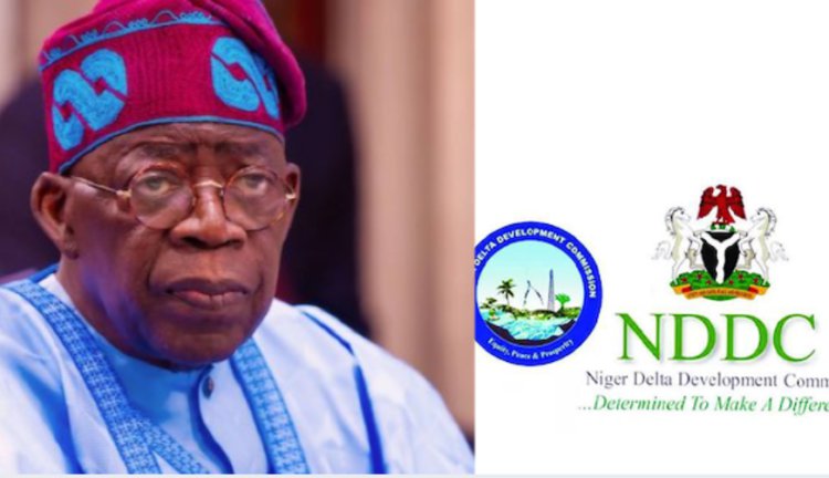 Financial Recklessness: IPF Demands Urgent NDDC Probe, Ogbuku, Others to Account