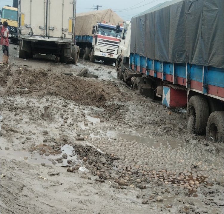 Economic Activities Grounded in N-Delta as NDYC Writes Tinubu Over Effurun-Sapele-Benin Failed Road