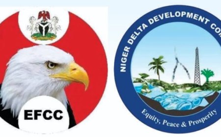 Call to Probe Ogbuku intensifies as IPF urges EFCC to emulate ICPC to expose corruption in NDDC