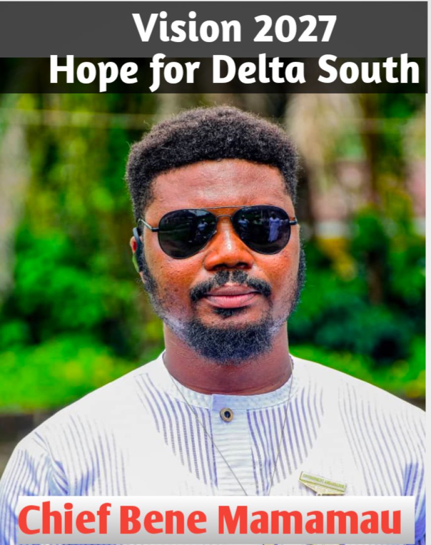2027: Popular activist vows to contest Delta South Senatorial seat, moves to displace incumbent Joel-Onowakpo