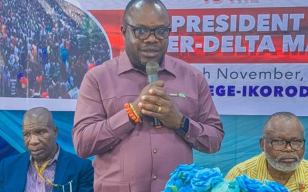 President Tinubu Addressing Issues Of Development, Economic Growth, Peace, Security In Niger Delta - PAP Boss