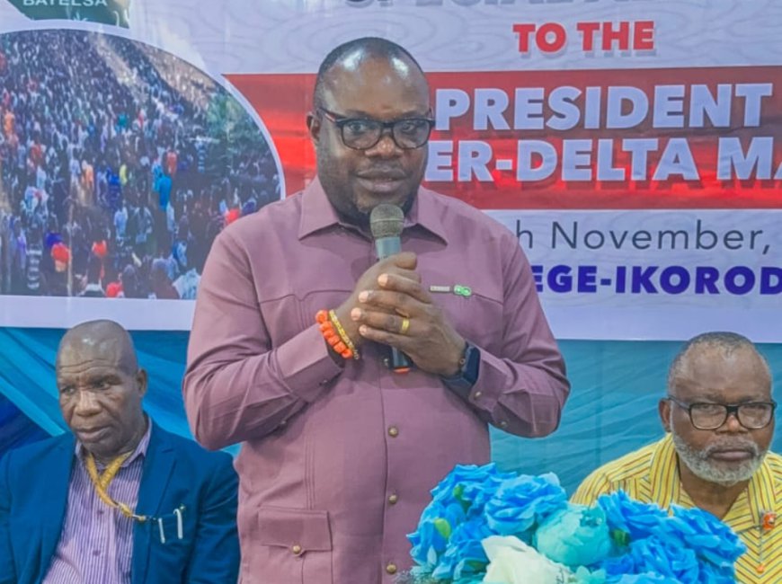 President Tinubu Addressing Issues Of Development, Economic Growth, Peace, Security In Niger Delta - PAP Boss