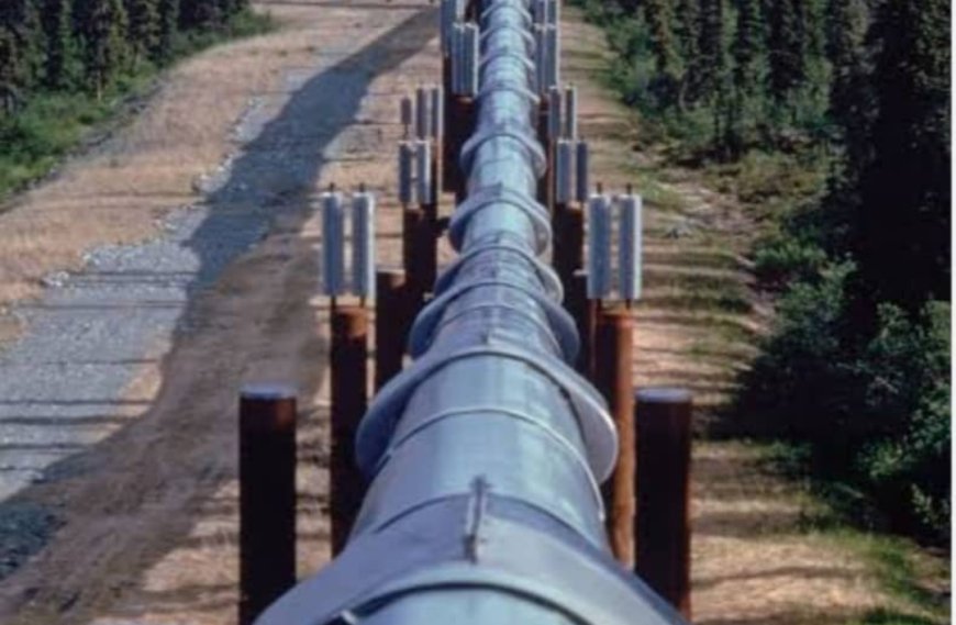 Ayamasa II: Dangote's Gas Firn Accused of Instigating Crisis, Sabotaging Own Operations