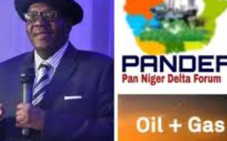 PANDEF Hails Oil, Gas Sector Reforms, Calls for Greater Inclusion of Niger Delta Professionals