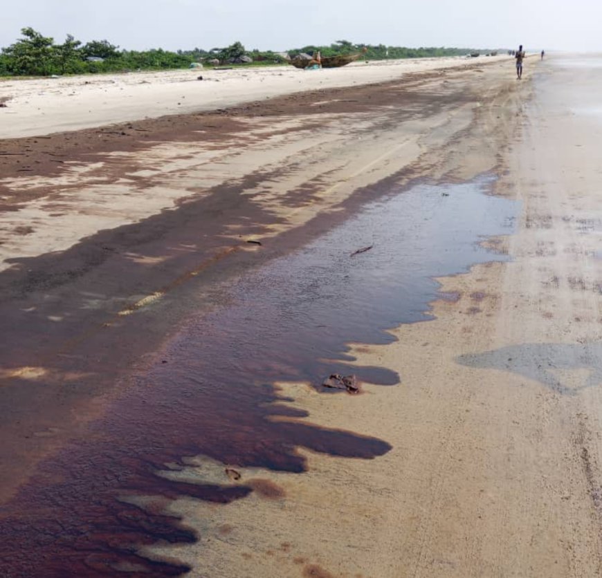 Kou Clan Communities Demand Urgent Intervention as Oil Spill Ravages Ramos River Shoreline in Delta