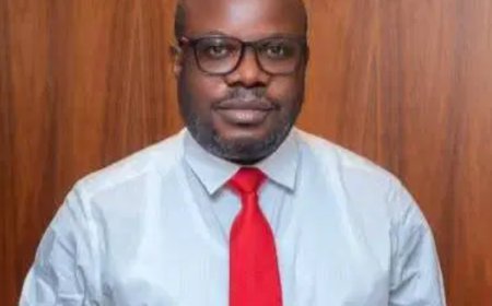 OPen Letter on PAP: Akiefa Defends Otuaro, Says Detractors Plotting to Derail Reforms, urges Tinubu to ignore “self-serving narratives”