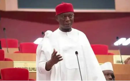 Ned Nwoko Warns APC of ‘Political Disaster’ Over Alleged Delta North Primary Fraud