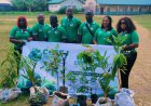 World Environment Day 2026: CEPEJ Leads Massive Tree-Planting Campaign Across Schools, Healthcare Centre in Delta