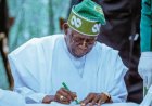 No Law Says Governors Must Control  13% Derivation Fund: Tinubu Should Correct Derivation Error Before 2027