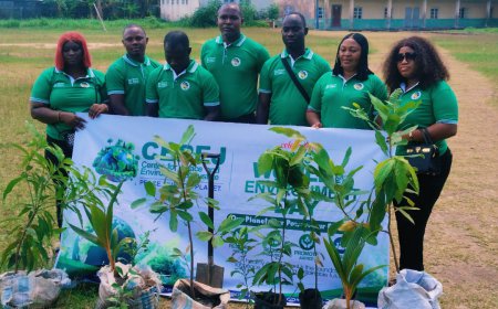 World Environment Day 2026: CEPEJ Leads Massive Tree-Planting Campaign Across Schools, Healthcare Centre in Delta
