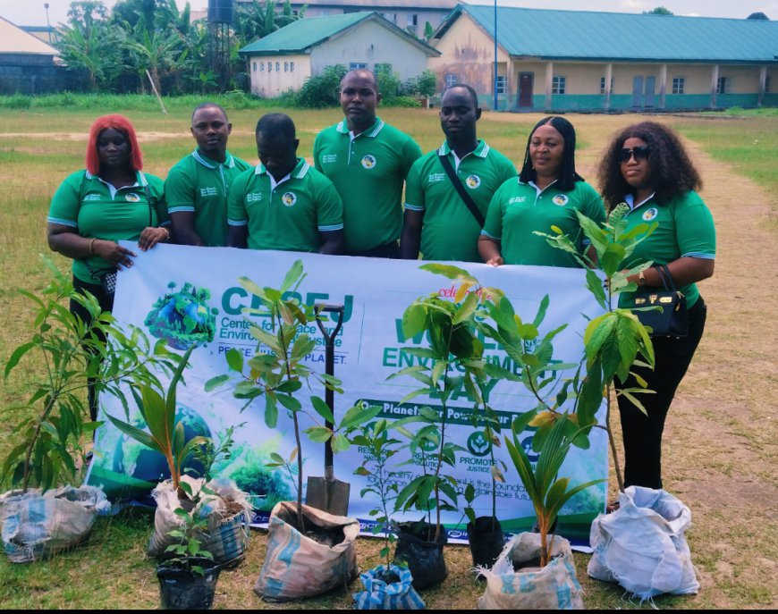 World Environment Day 2026: CEPEJ Leads Massive Tree-Planting Campaign Across Schools, Healthcare Centre in Delta
