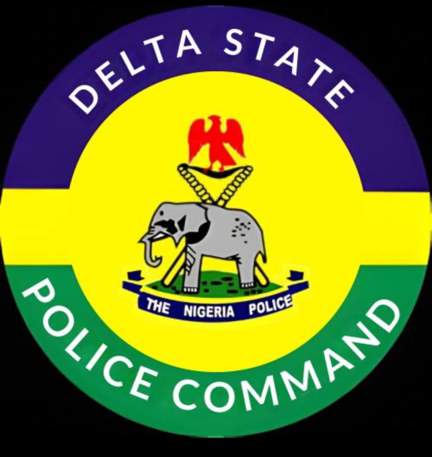 Delta Police Secure Conviction of 16 for Vandalism, Theft of Government Property, Drug Possession