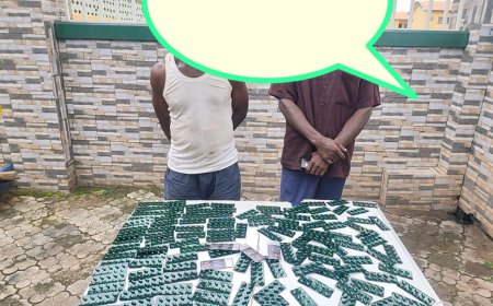 Delta Police Recover Stolen Corolla, Nab Two Suspected Drug Dealers With 132 Tramadol Sachets