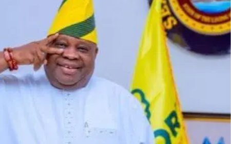 INEC declares Accord Party candidate Adeleke winner of Osun governorship election