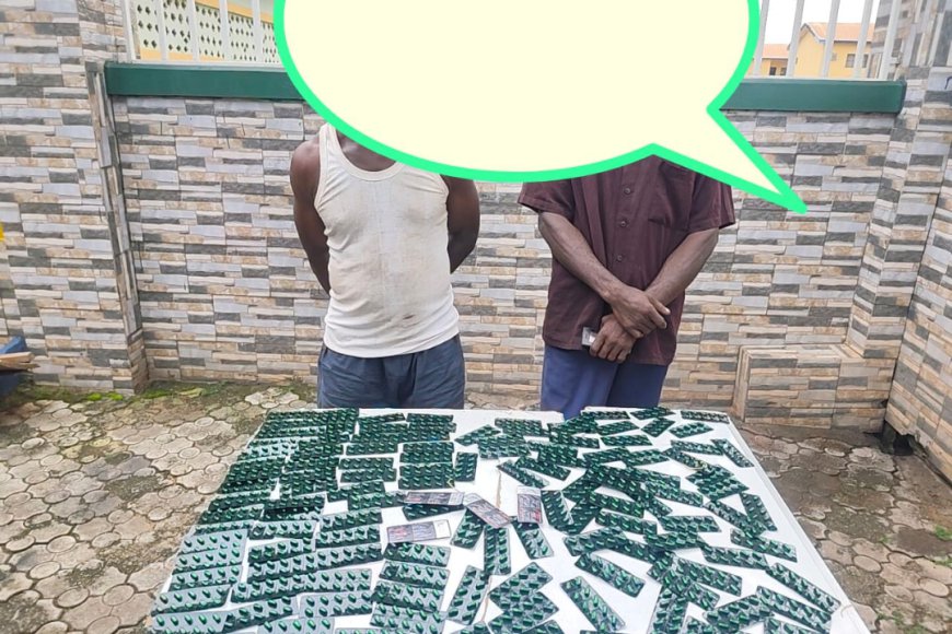 Delta Police Recover Stolen Corolla, Nab Two Suspected Drug Dealers With 132 Tramadol Sachets