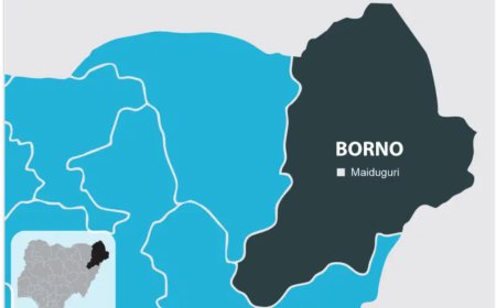 Borno settles N622m NECO fees for 27,599 students – Commissioner
