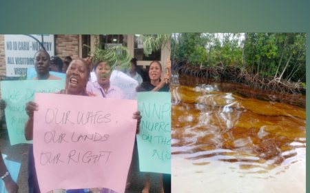 Odidi Oil Spill: Heritage Energy Still Pumps Crude as Oil Leaks Into Rivers, Shores