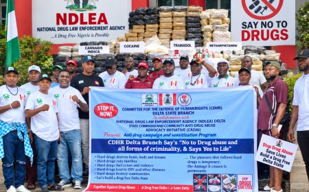 Drug Abuse: CDHR, NDLEA, CADAAI Team Up for Campaign in Delta, Demand Probe of Security Exhibit Rooms