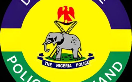 Police arrest commissioner, others over Delta director’s death