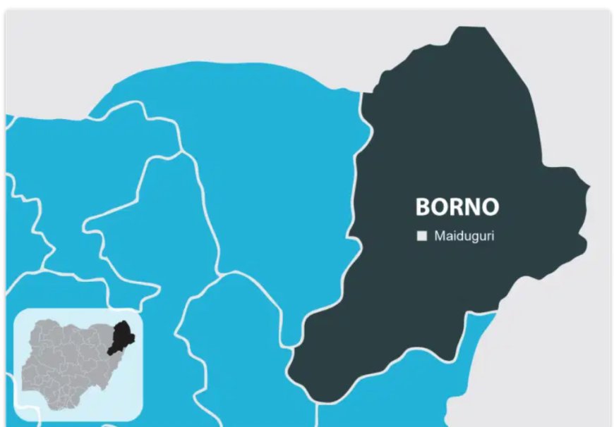 Borno settles N622m NECO fees for 27,599 students – Commissioner