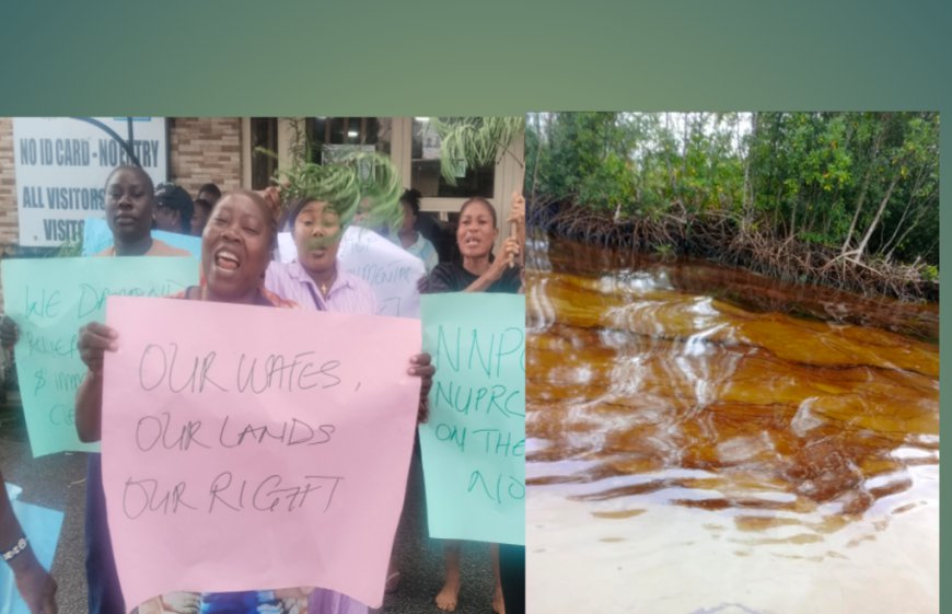 Odidi Oil Spill: Heritage Energy Still Pumps Crude as Oil Leaks Into Rivers, Shores