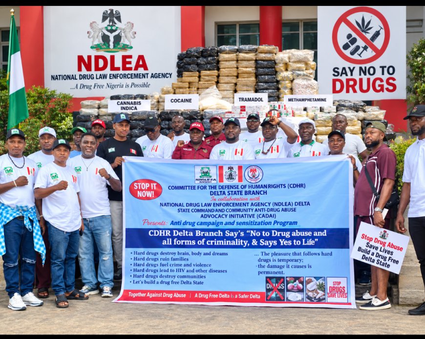 Drug Abuse: CDHR, NDLEA, CADAAI Team Up for Campaign in Delta, Demand Probe of Security Exhibit Rooms