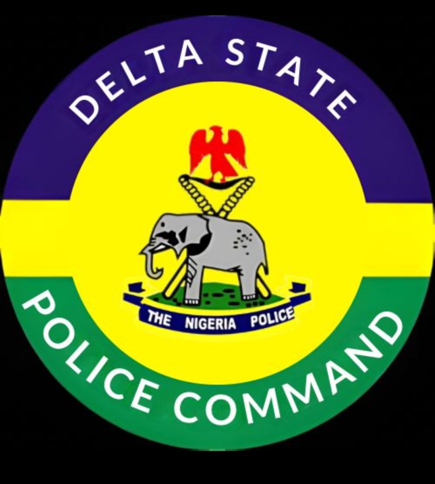 Police arrest commissioner, others over Delta director’s death