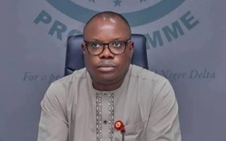 Ijaw Group, IPDI Accuses Critics of Blackmail, Backs Amnesty Programme Administrator